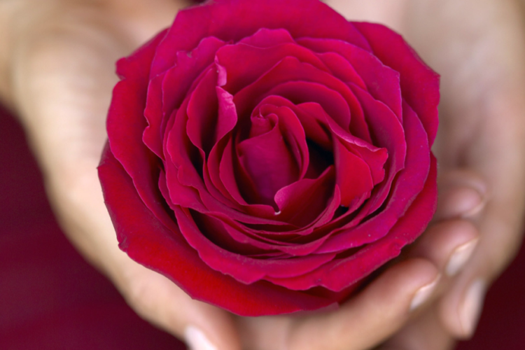 tantra-de-la-rose